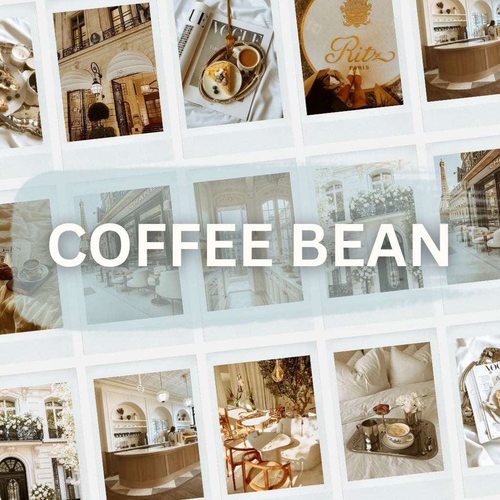 Lightroom Preset Pack Photography Sorority Rush Edits Filters Instagram Tiktok Social Media Luxury aesthetic high quality resolution 4K content coffee shop house golden cozy fall cream bakery lounge aesthetic