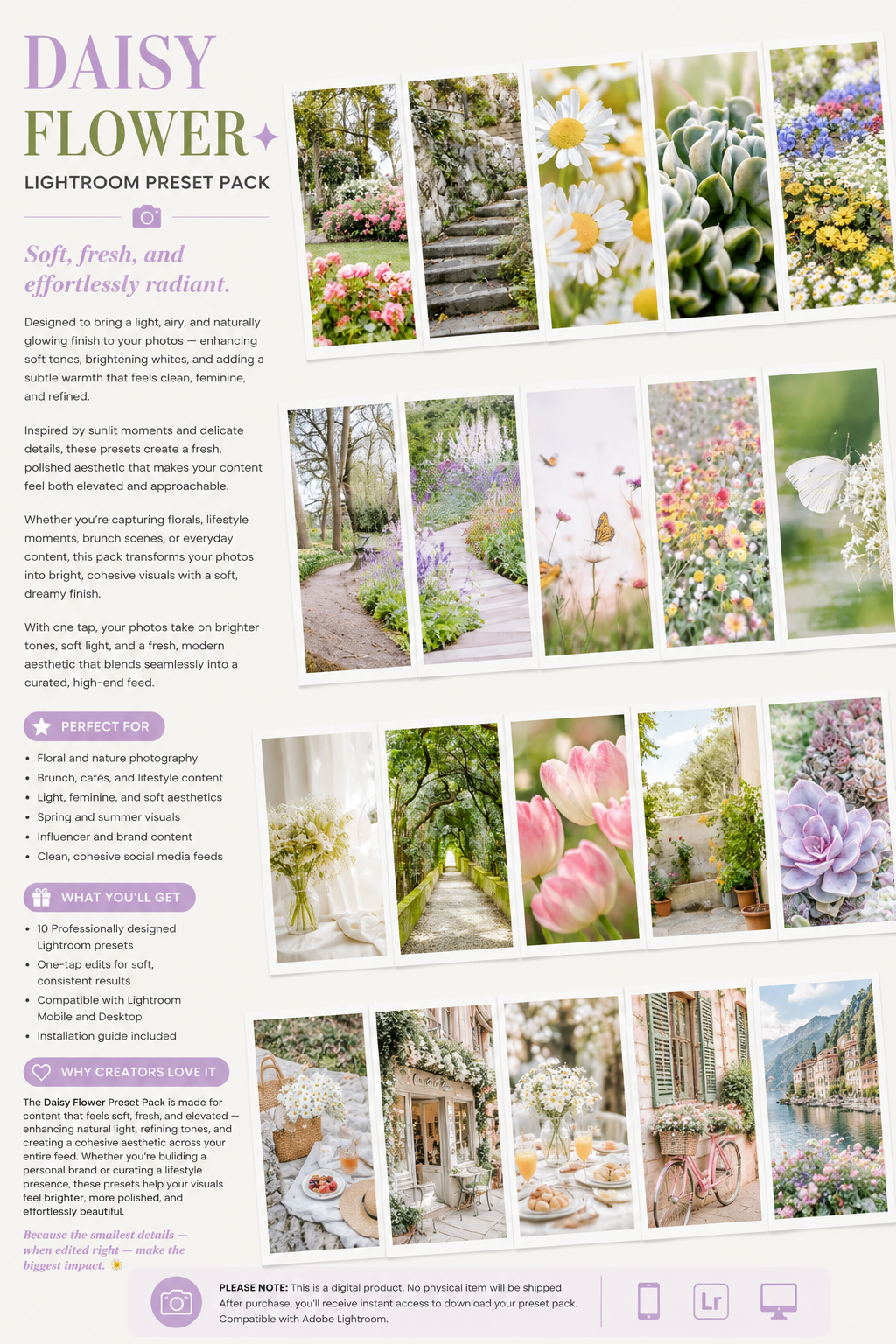 Lightroom Preset Pack Photography Sorority Rush Edits Filters Instagram Tiktok Social Media Luxury aesthetic high quality resolution 4K content daisy rose hibiscus flower garden sunflower carnation peony tulips colorful pastels life rich romantic plants succulents luxury 