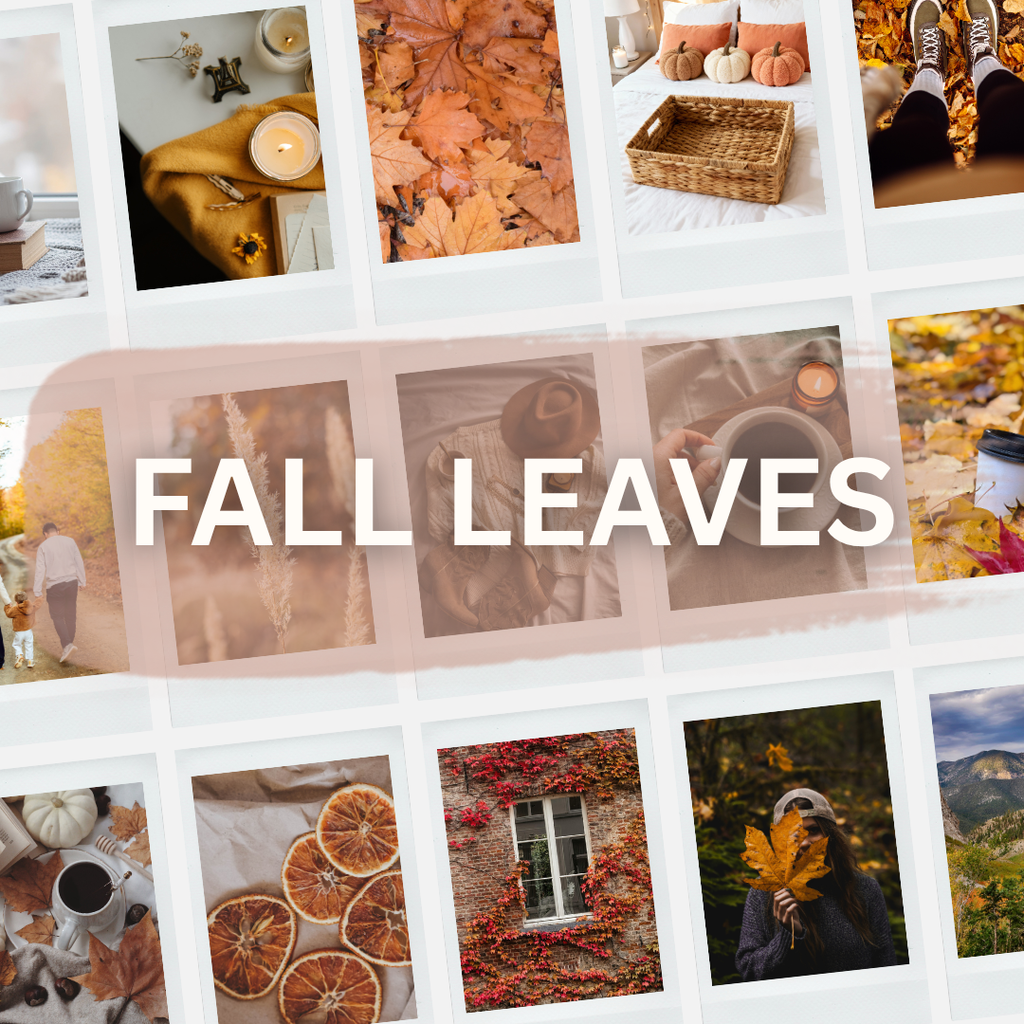 Lightroom Preset Pack Photography Sorority Rush Edits Filters Instagram Tiktok Social Media Luxury aesthetic high quality resolution 4K content campus university recruitment rush big little panhellenic greek fall leaves autumn september august october friday night lights college football orange gold mustard burnt cozy apartment pumpkin spice chai latte peach