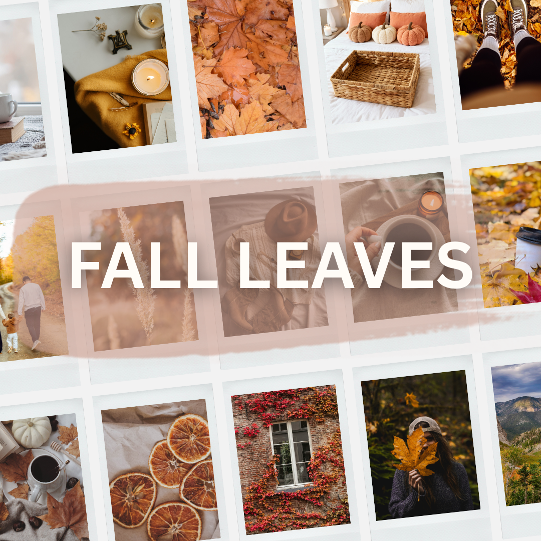 Lightroom Preset Pack Photography Sorority Rush Edits Filters Instagram Tiktok Social Media Luxury aesthetic high quality resolution 4K content campus university recruitment rush big little panhellenic greek fall leaves autumn september august october friday night lights college football orange gold mustard burnt cozy apartment pumpkin spice chai latte peach